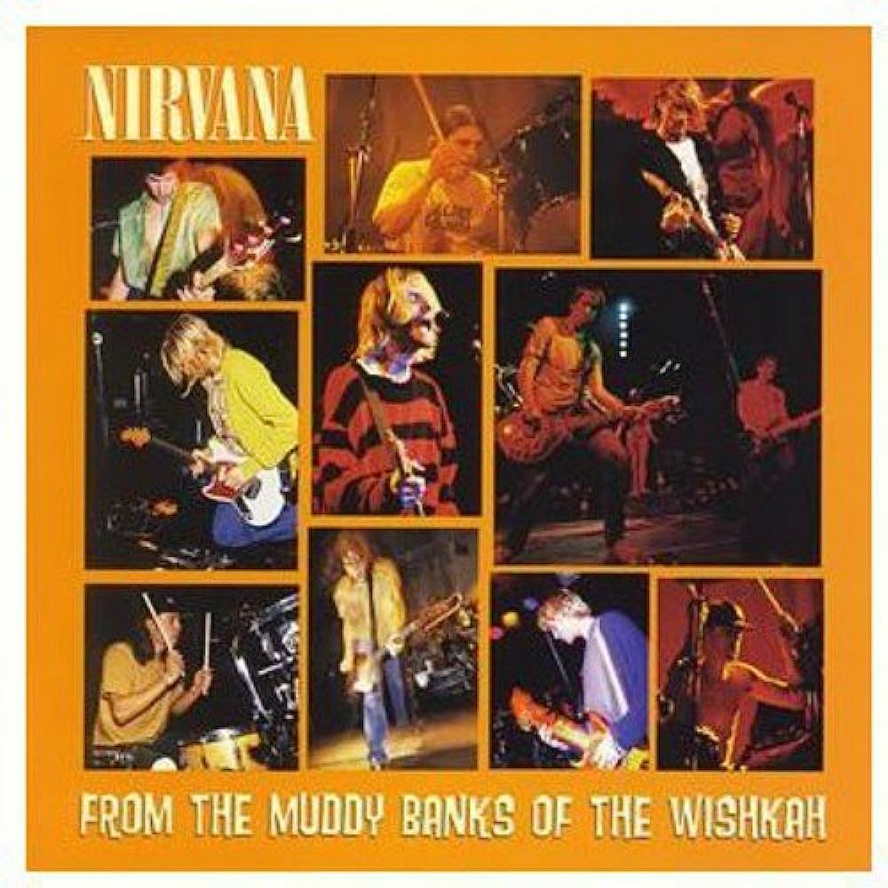 Nirvana - From The Muddy Banks Of The Wishkah Vinyl LP – The Audio